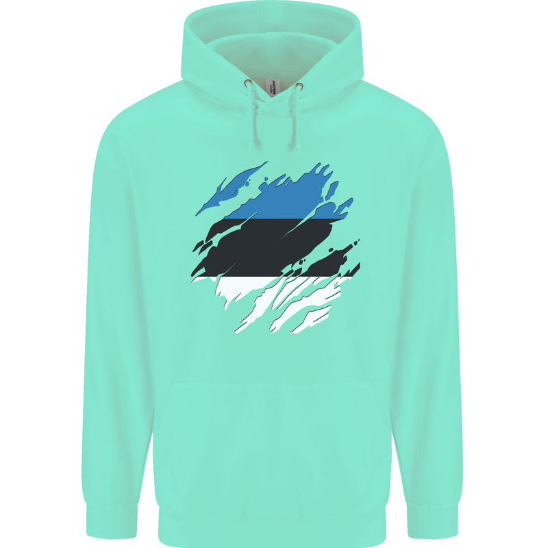 Torn Estonia Flag Estonian Day Football Childrens Kids Hoodie Peppermint