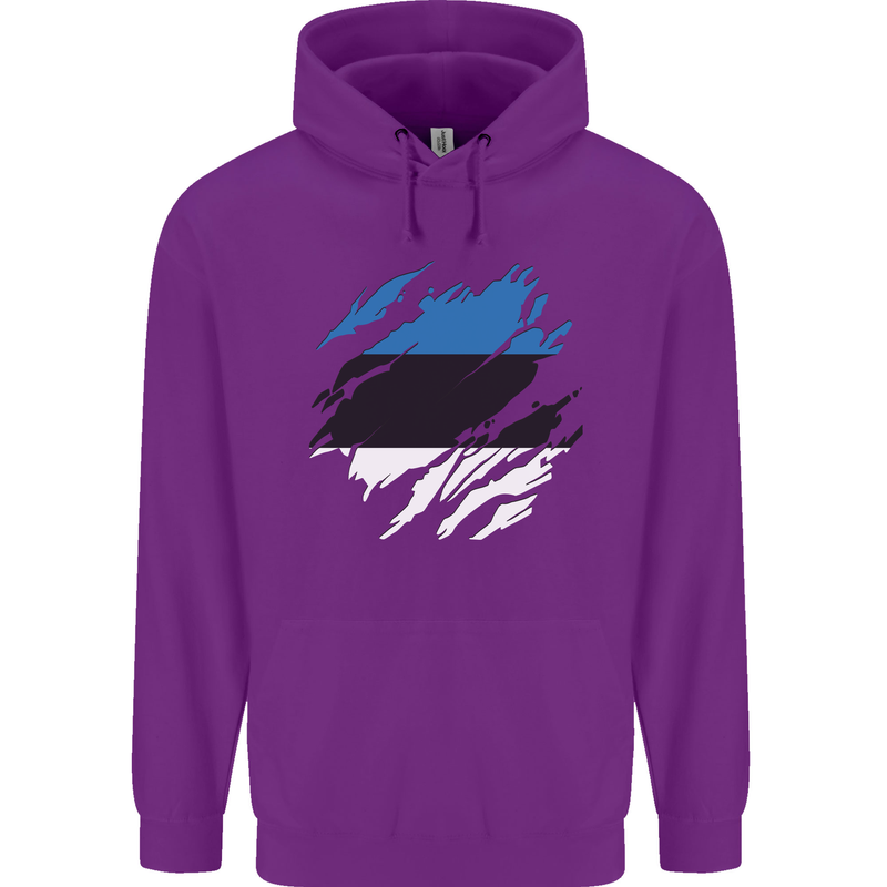 Torn Estonia Flag Estonian Day Football Childrens Kids Hoodie Purple