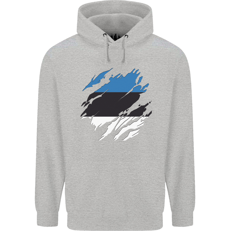 Torn Estonia Flag Estonian Day Football Childrens Kids Hoodie Sports Grey