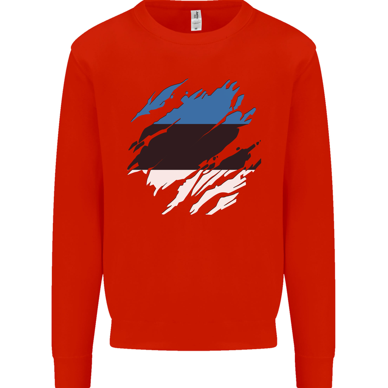 Torn Estonia Flag Estonian Day Football Kids Sweatshirt Jumper Bright Red