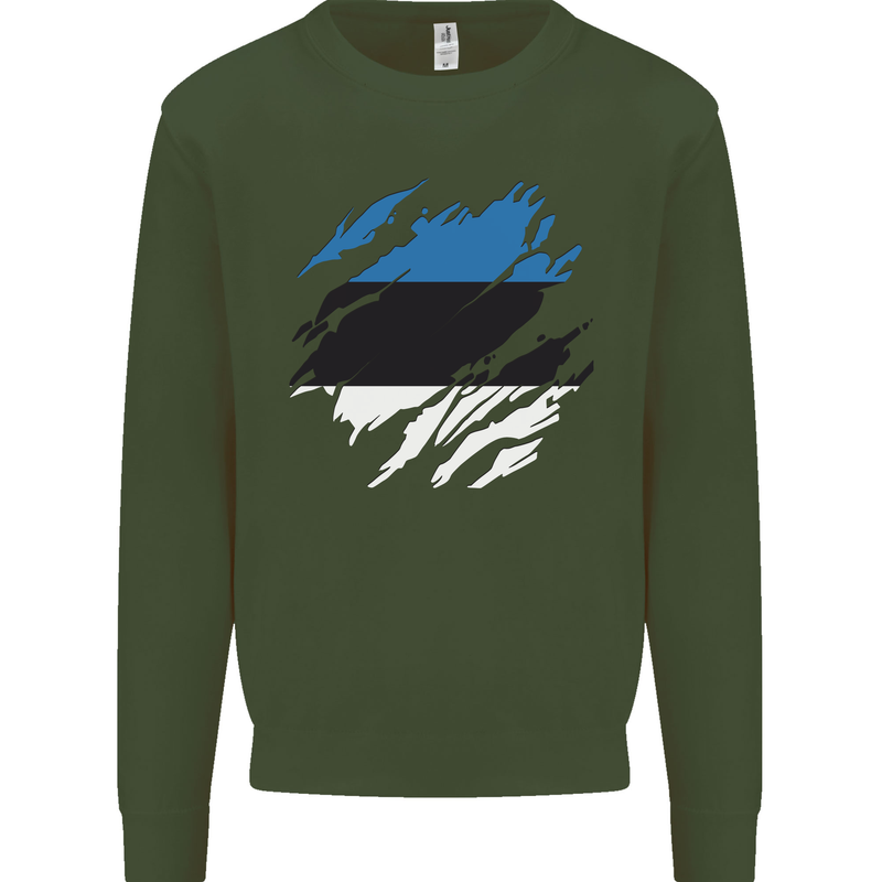 Torn Estonia Flag Estonian Day Football Kids Sweatshirt Jumper Forest Green