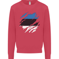 Torn Estonia Flag Estonian Day Football Kids Sweatshirt Jumper Heliconia