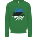 Torn Estonia Flag Estonian Day Football Kids Sweatshirt Jumper Irish Green