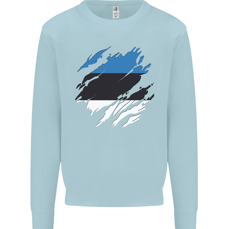 Torn Estonia Flag Estonian Day Football Kids Sweatshirt Jumper Light Blue