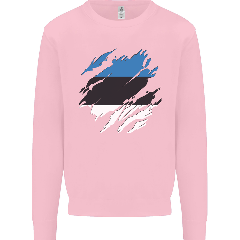 Torn Estonia Flag Estonian Day Football Kids Sweatshirt Jumper Light Pink