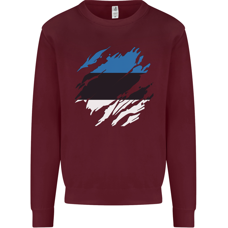 Torn Estonia Flag Estonian Day Football Kids Sweatshirt Jumper Maroon