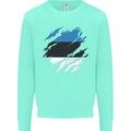 Torn Estonia Flag Estonian Day Football Kids Sweatshirt Jumper Peppermint