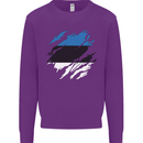 Torn Estonia Flag Estonian Day Football Kids Sweatshirt Jumper Purple