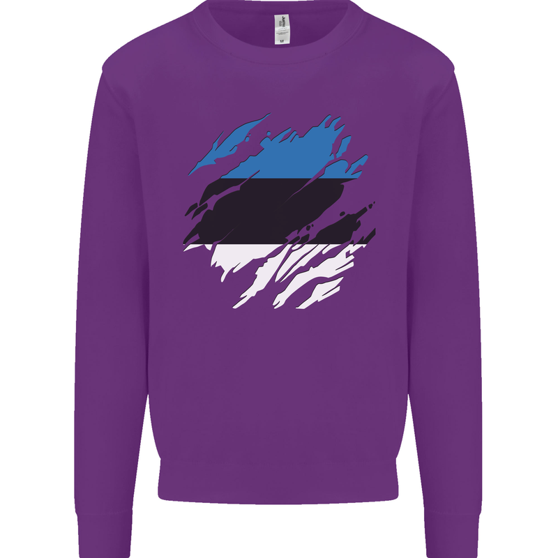 Torn Estonia Flag Estonian Day Football Kids Sweatshirt Jumper Purple