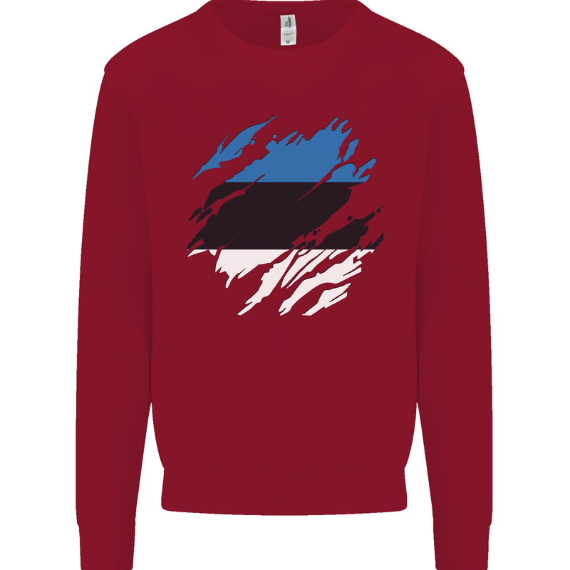 Torn Estonia Flag Estonian Day Football Kids Sweatshirt Jumper Red