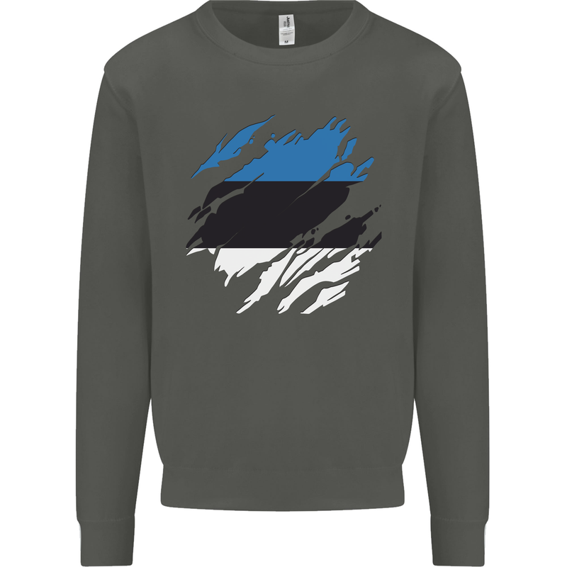 Torn Estonia Flag Estonian Day Football Kids Sweatshirt Jumper Storm Grey