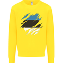 Torn Estonia Flag Estonian Day Football Kids Sweatshirt Jumper Yellow