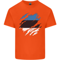 Torn Estonia Flag Estonian Day Football Kids T-Shirt Childrens Orange