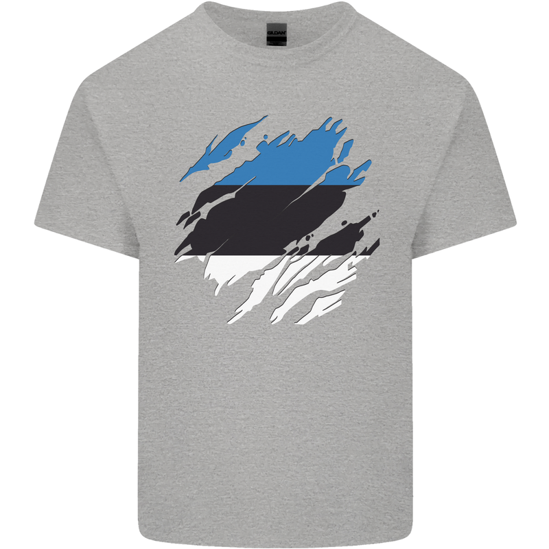 Torn Estonia Flag Estonian Day Football Kids T-Shirt Childrens Sports Grey