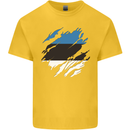 Torn Estonia Flag Estonian Day Football Kids T-Shirt Childrens Yellow