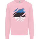 Torn Estonia Flag Estonian Day Football Mens Sweatshirt Jumper Light Pink