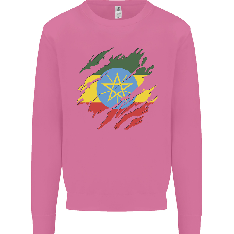 Torn Ethiopia Flag Ethiopian Day Football Mens Sweatshirt Jumper Azalea