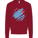 Torn Fiji Flag Fijian Day Football Kids Sweatshirt Jumper Red