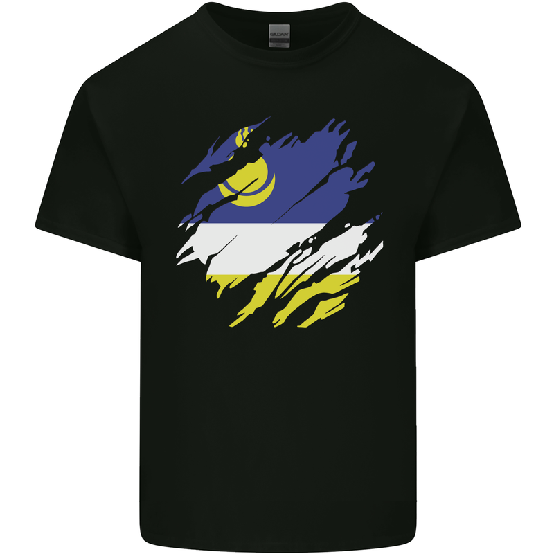 Torn Flag Buryatia Mens Cotton T-Shirt Tee Top Black