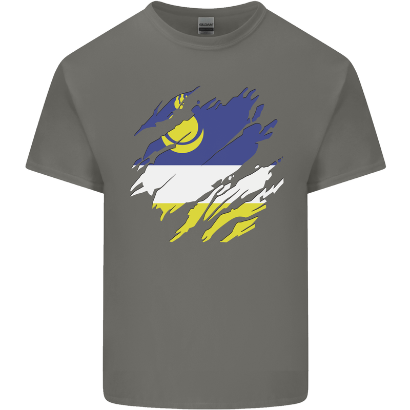 Torn Flag Buryatia Mens Cotton T-Shirt Tee Top Charcoal