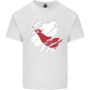 Torn Flag Easter Island Mens Cotton T-Shirt Tee Top White