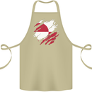 Torn Flag Greenland Cotton Apron 100% Organic Khaki