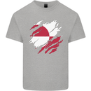 Torn Flag Greenland Mens Cotton T-Shirt Tee Top Sports Grey