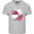 Torn Flag Greenland Mens V-Neck Cotton T-Shirt Sports Grey