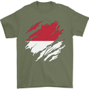 Torn Flag Monaco Mens T-Shirt 100% Cotton Military Green