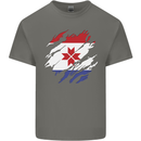 Torn Flag Mordovia Mens Cotton T-Shirt Tee Top Charcoal