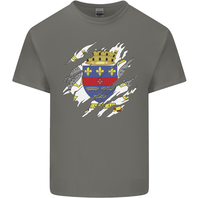 Torn Flag Saint Barthelemy Mens Cotton T-Shirt Tee Top Charcoal