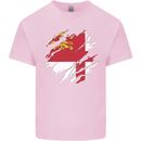 Torn Flag Sark Kids T-Shirt Childrens Light Pink