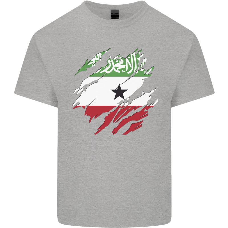 Torn Flag Somaliland Kids T-Shirt Childrens Sports Grey