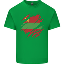 Torn Flag Transnistria Mens Cotton T-Shirt Tee Top Irish Green