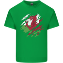 Torn Flag Wales Welsh Mens Cotton T-Shirt Tee Top Irish Green