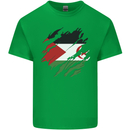 Torn Flag Western Sahara Mens Cotton T-Shirt Tee Top Irish Green