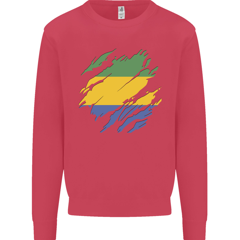 Torn Gabon Flag Gabonese Day Football Kids Sweatshirt Jumper Heliconia