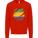 Torn Gabon Flag Gabonese Day Football Mens Sweatshirt Jumper Bright Red