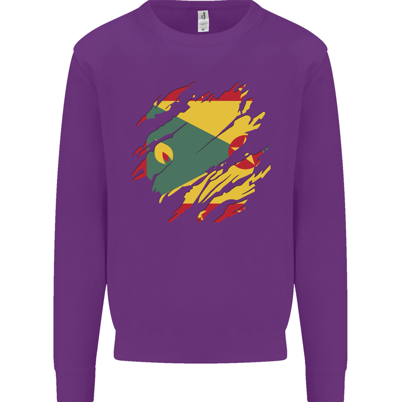 Torn Grenada Flag Grenadians Day Football Kids Sweatshirt Jumper Purple