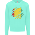 Torn Guinea Flag Guinean Day Football Kids Sweatshirt Jumper Peppermint