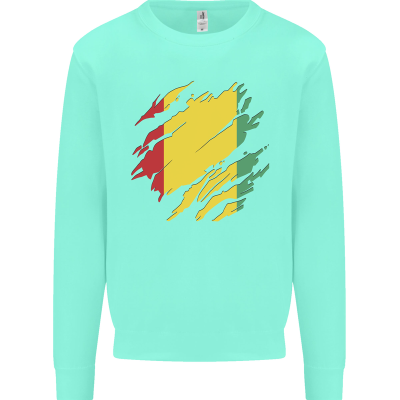 Torn Guinea Flag Guinean Day Football Kids Sweatshirt Jumper Peppermint