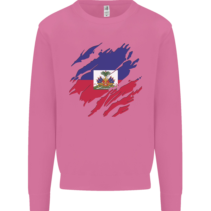 Torn Haiti Flag Haitian Day Football Mens Sweatshirt Jumper Azalea