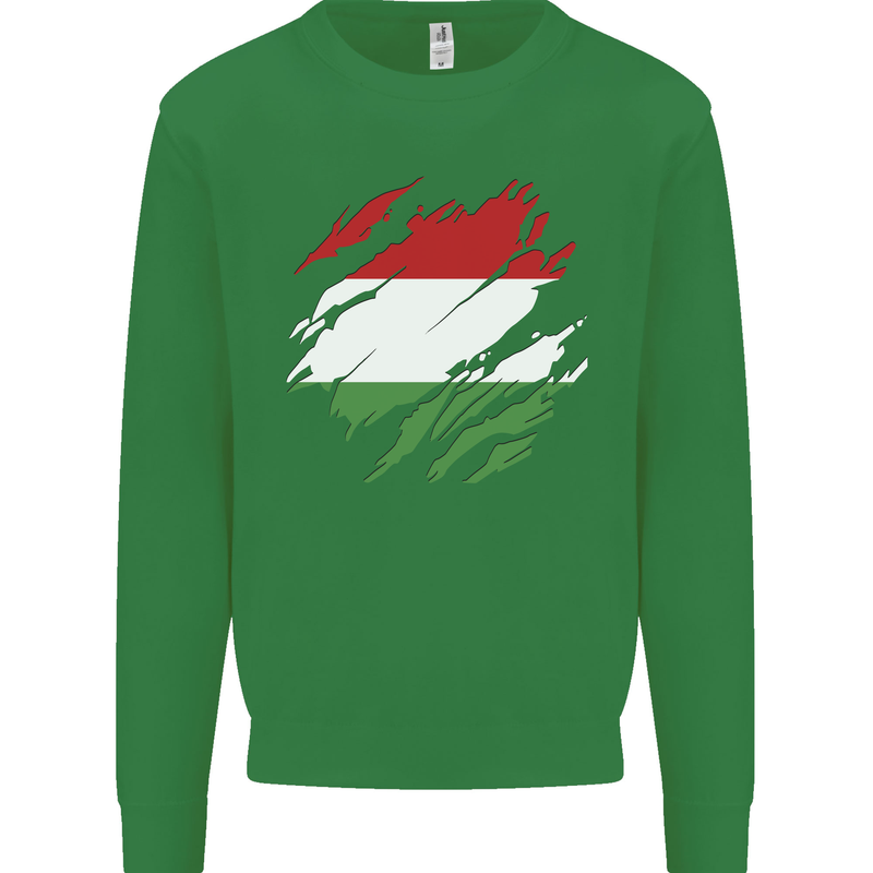 Torn Hungary Flag Hungarian Day Football Kids Sweatshirt Jumper Irish Green