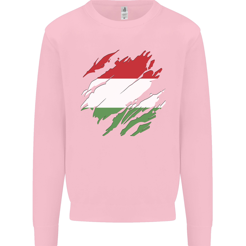 Torn Hungary Flag Hungarian Day Football Kids Sweatshirt Jumper Light Pink