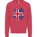 Torn Iceland Flag Icelander Day Football Kids Sweatshirt Jumper Heliconia