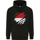 Torn Indonesia Flag Indonesian Day Football Childrens Kids Hoodie Black