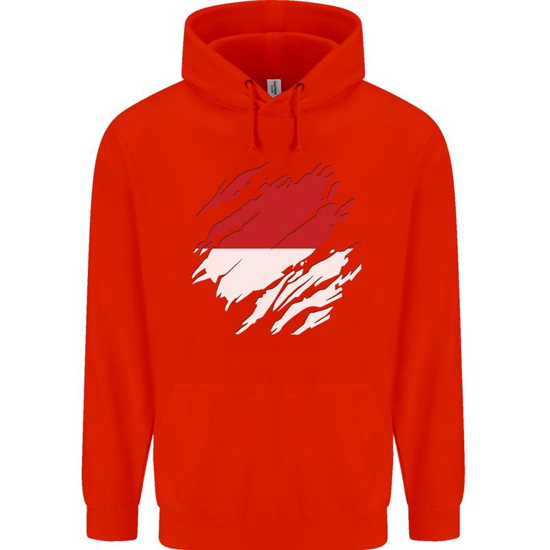 Torn Indonesia Flag Indonesian Day Football Childrens Kids Hoodie Bright Red