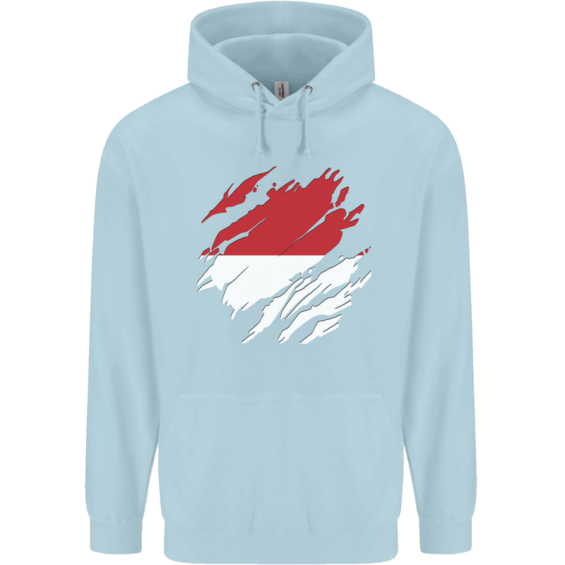 Torn Indonesia Flag Indonesian Day Football Childrens Kids Hoodie Light Blue