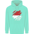 Torn Indonesia Flag Indonesian Day Football Childrens Kids Hoodie Peppermint