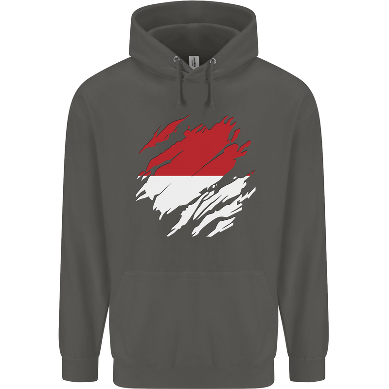 Torn Indonesia Flag Indonesian Day Football Childrens Kids Hoodie Storm Grey